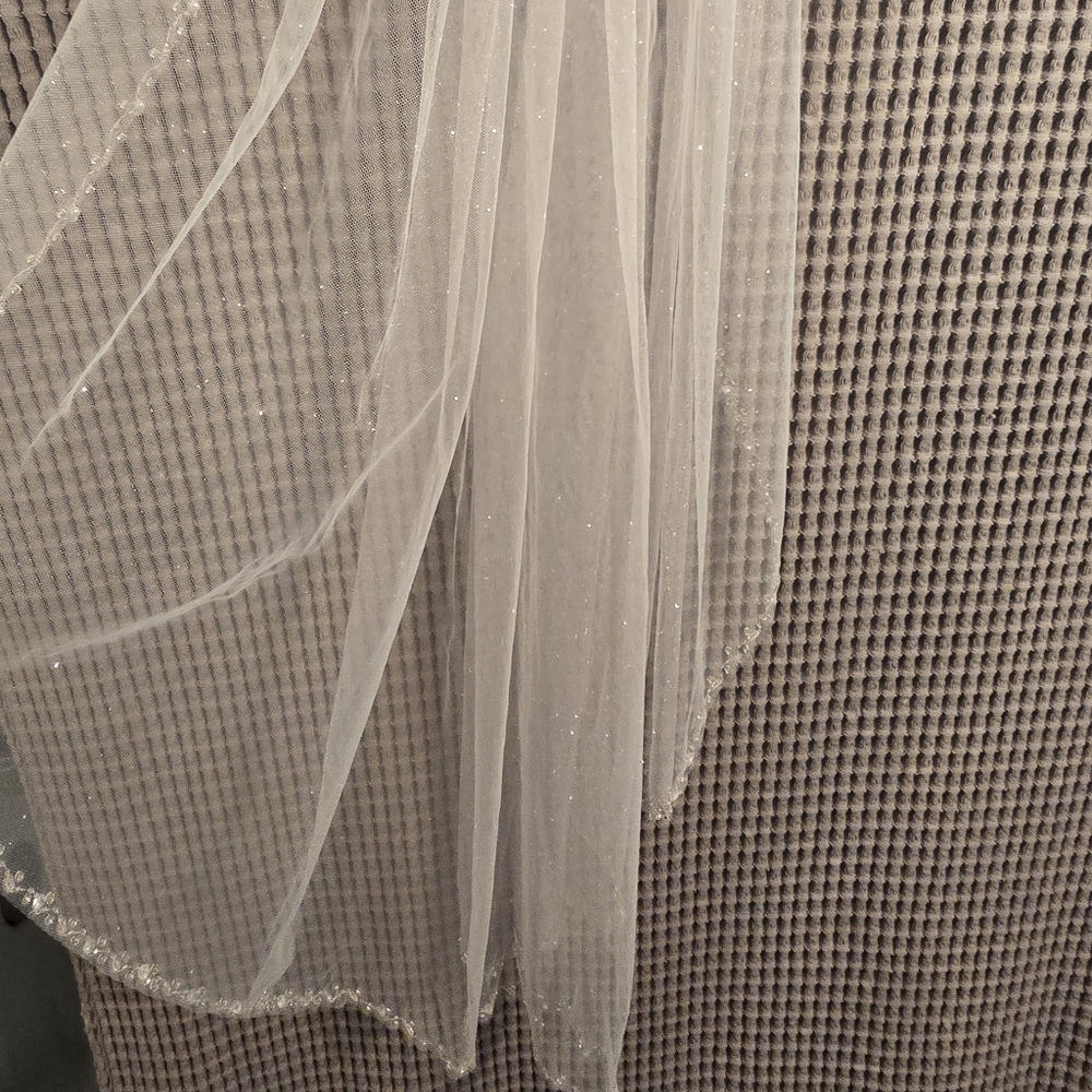 Elegant Sheer Veil with Glitter and Bead Trim